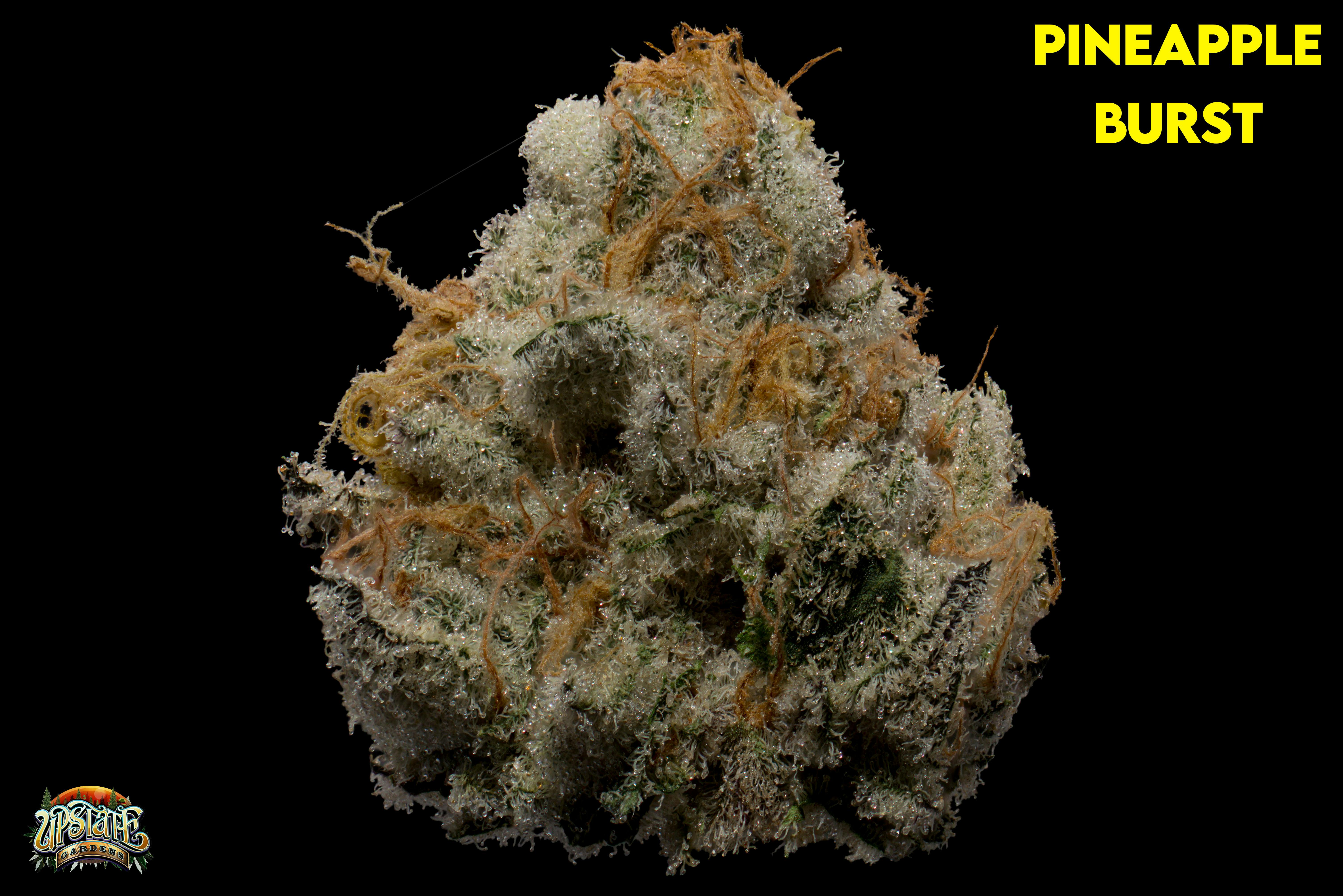 Flower: Pineapple Burst