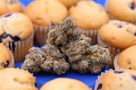 Blueberry Muffin
