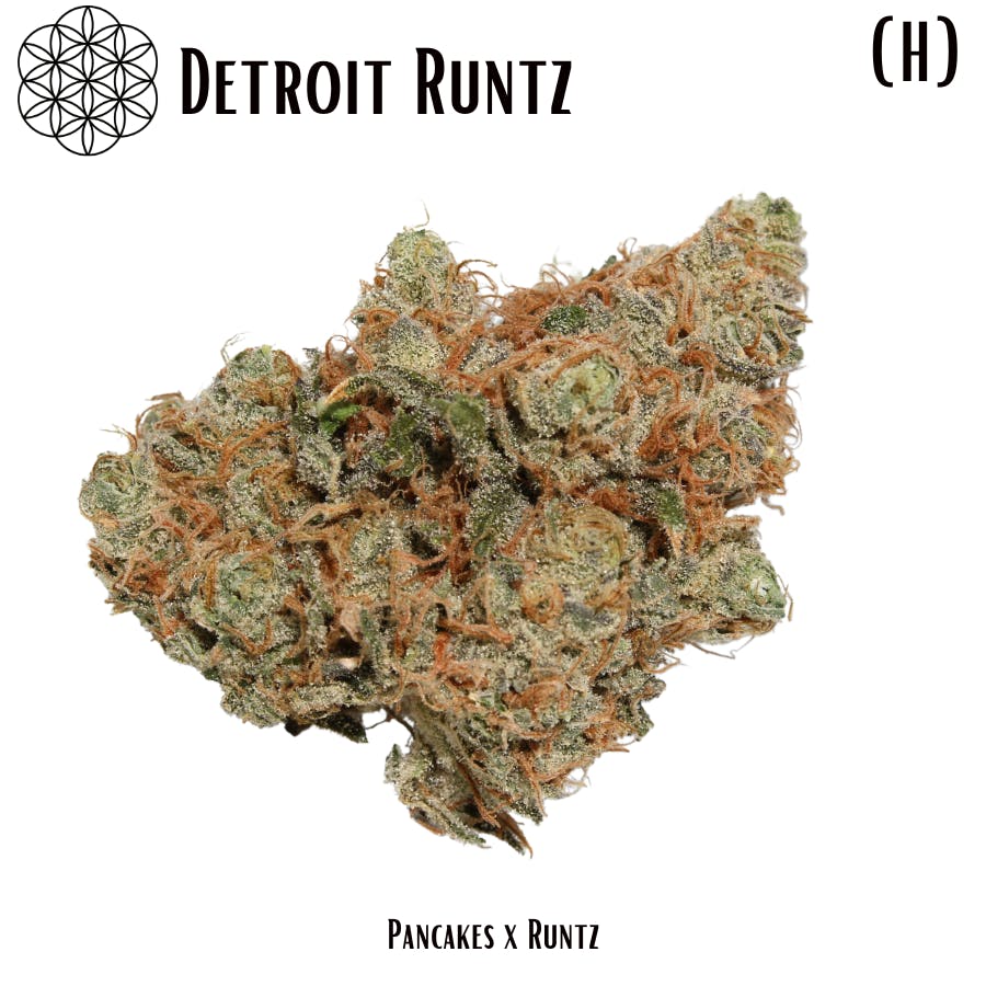 Detroit Runtz Flower Flower of Life MI
