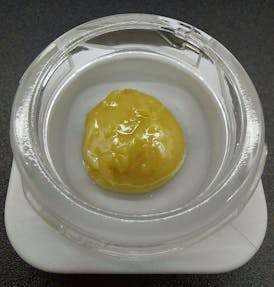Concentrate - Tier 2 - Cold Cure Live Rosin - Original Glue #4