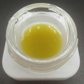 Concentrate - Tier 2 - High Terpene Live Rosin - Original Glue #4