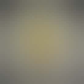 Concentrate - Tier 2 - High Terpene Live Rosin - GMO Cookies