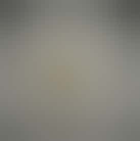 Concentrate - Tier 2 - Live Rosin Cold Cure - Citron Cookies