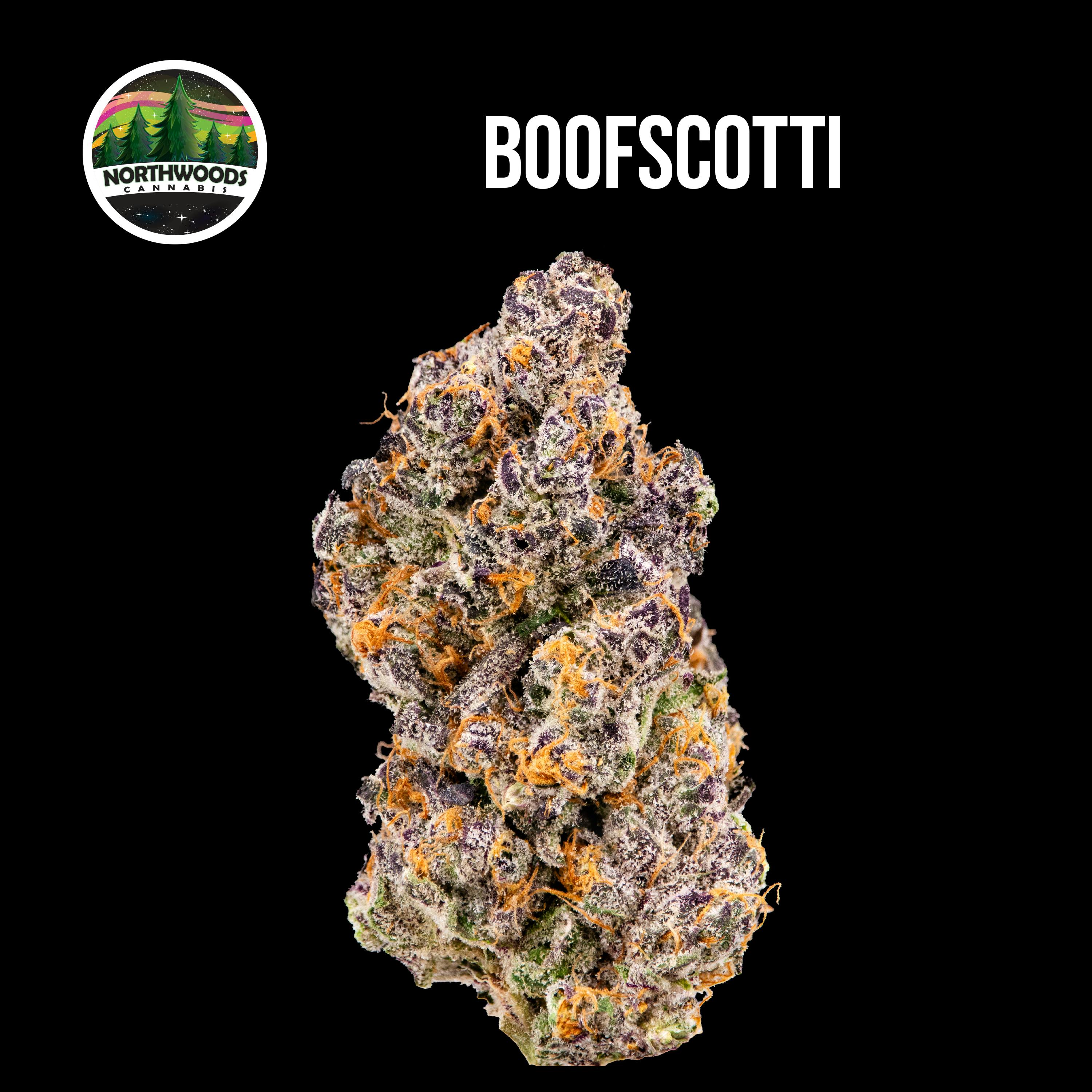 Boofscotti Flower