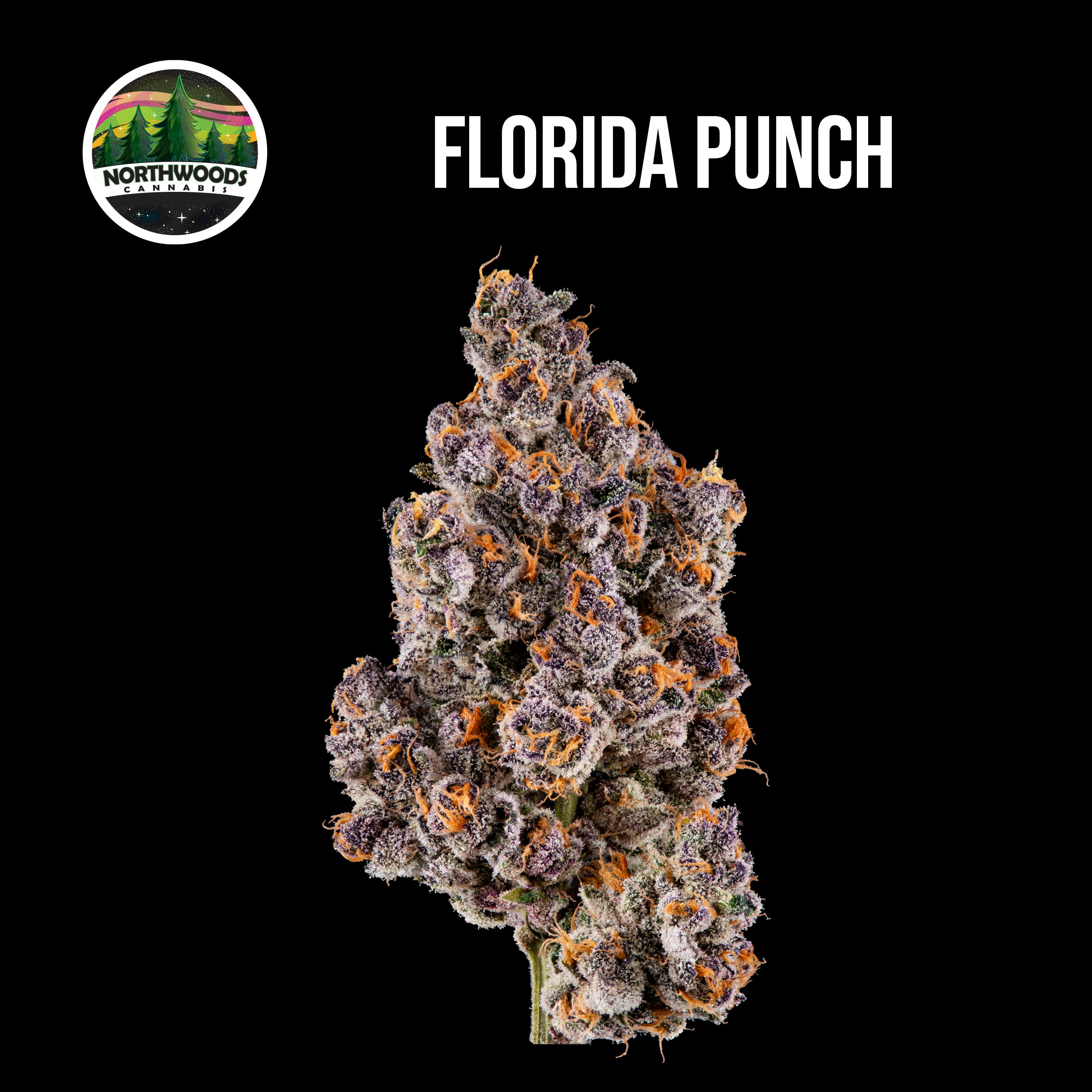 Florida Punch Flower at UpLift