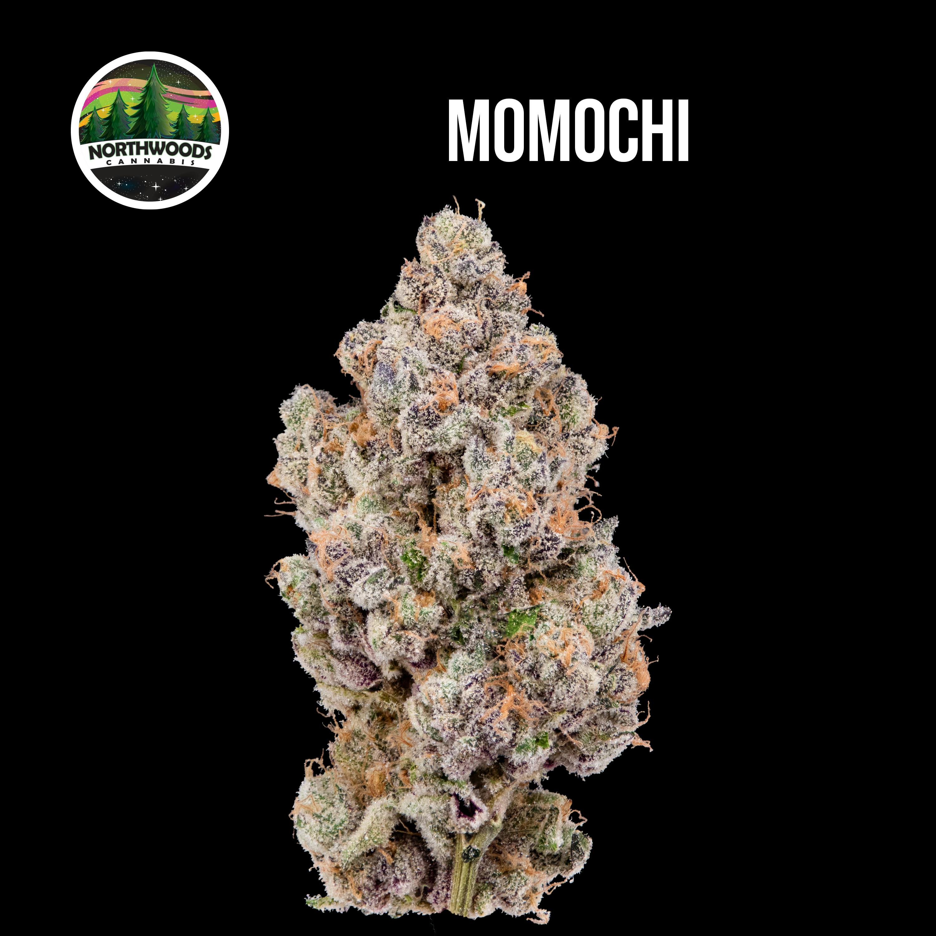 Momochi Flower