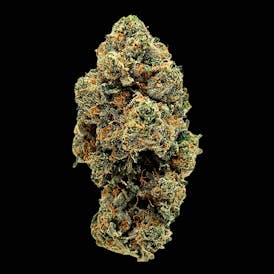 Apple Fritter Gold Edition