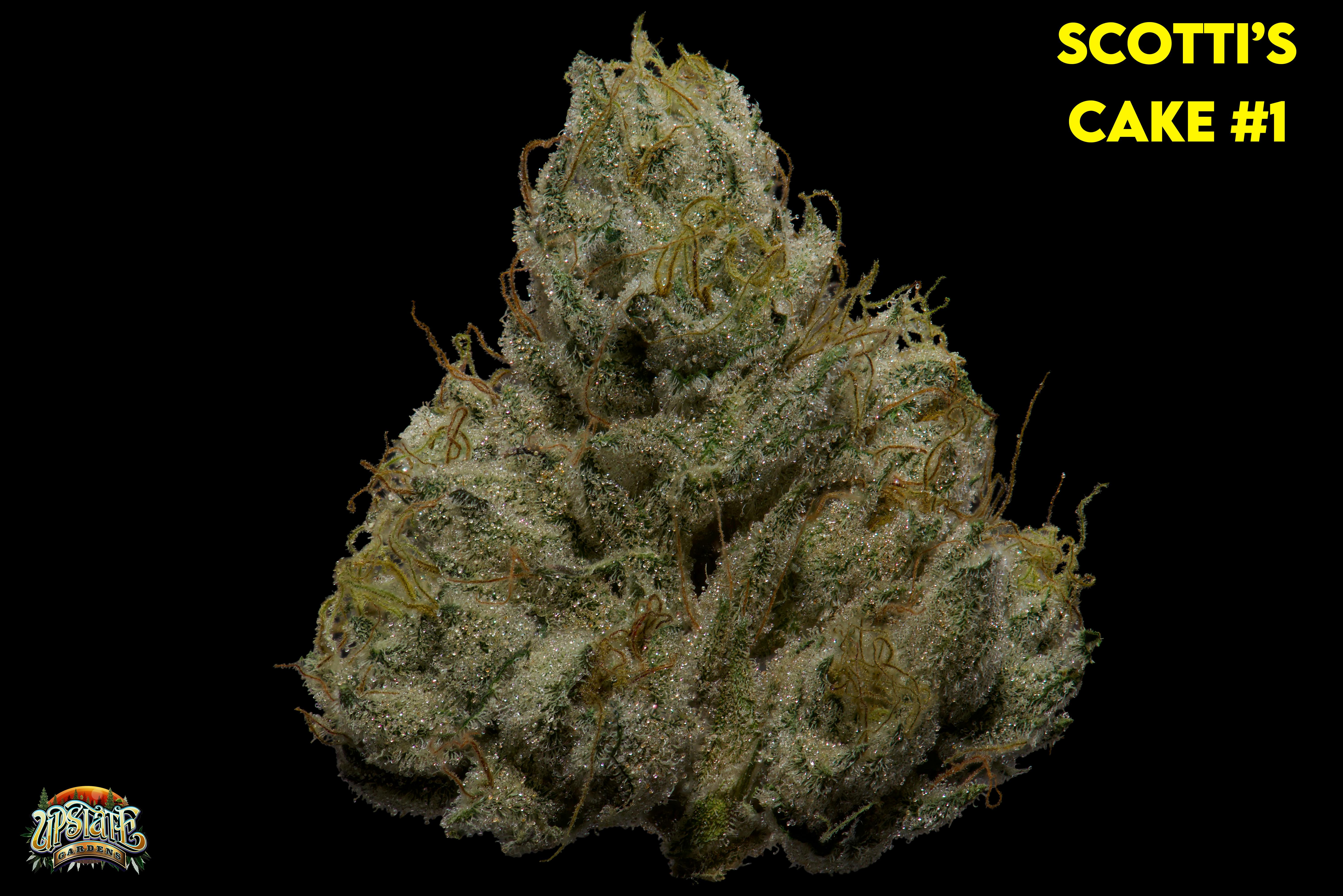 Flower: Scotti's Cake #1