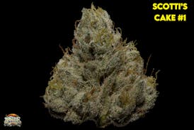 Flower: Scotti's Cake #1
