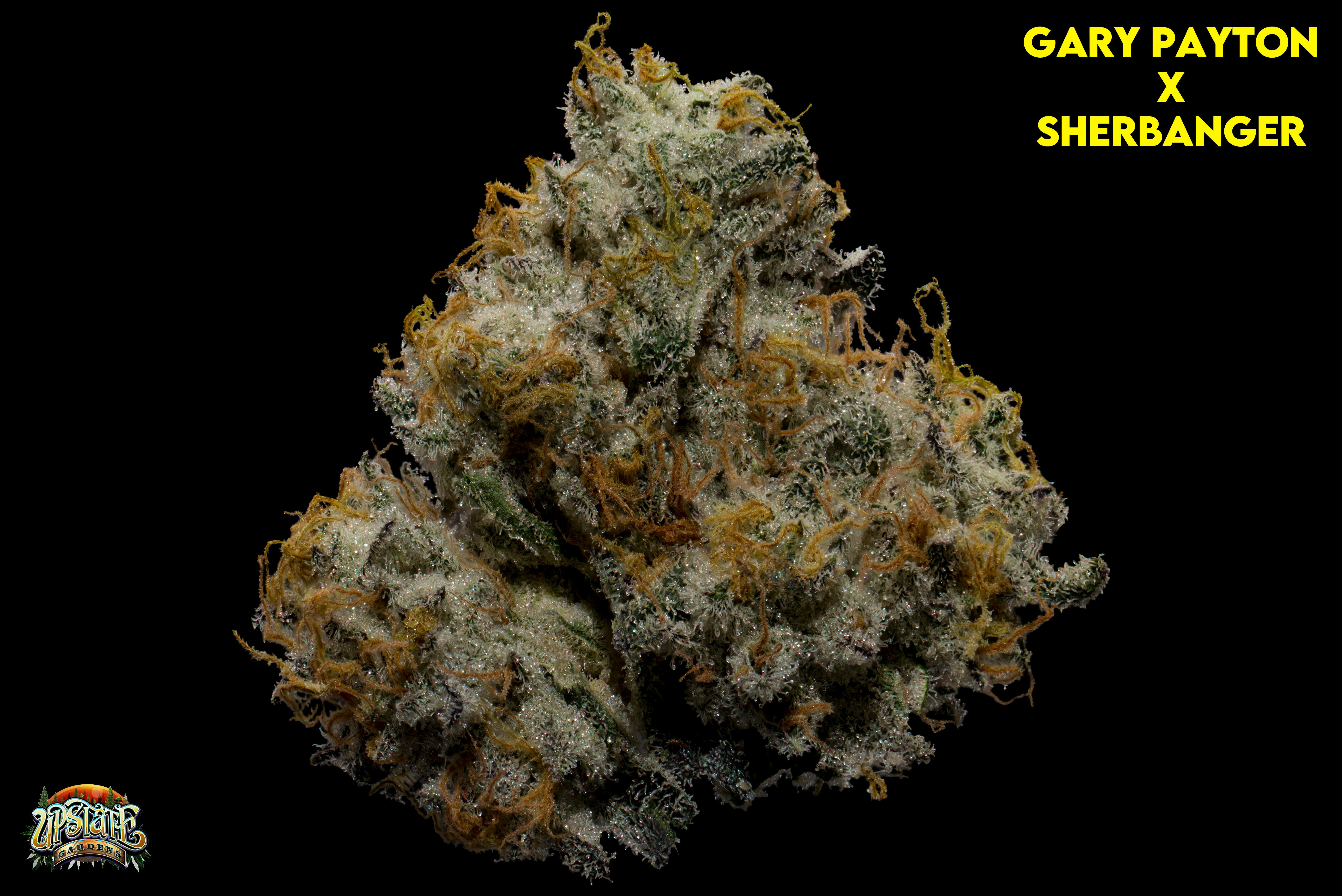 Flower: Gary Payton x Sherbanger