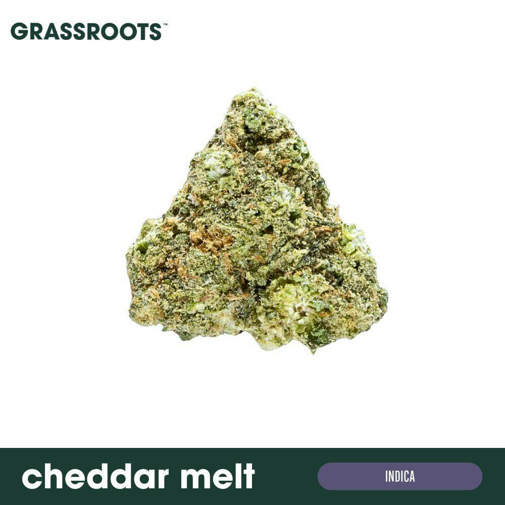 Cheddar Melt Flower by Grassroots