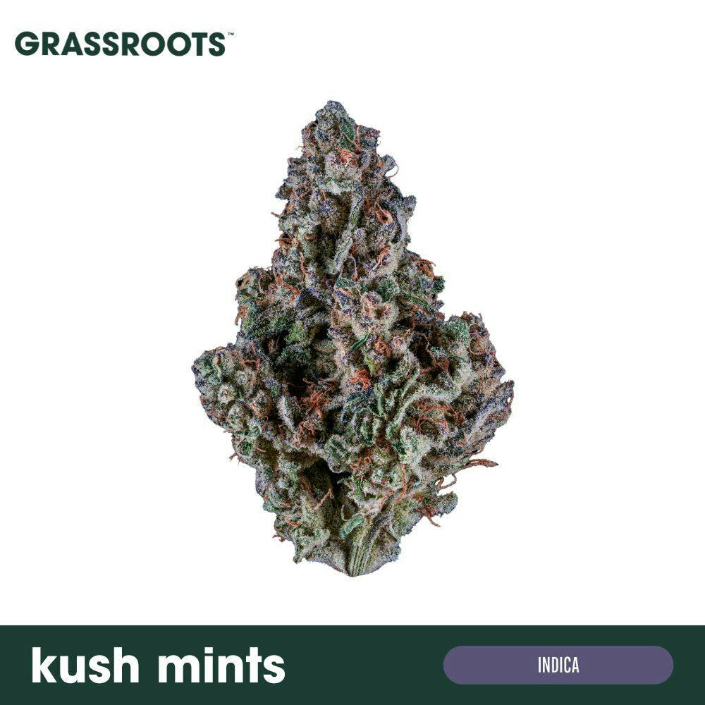 Kush Mints Flower by Grassroots