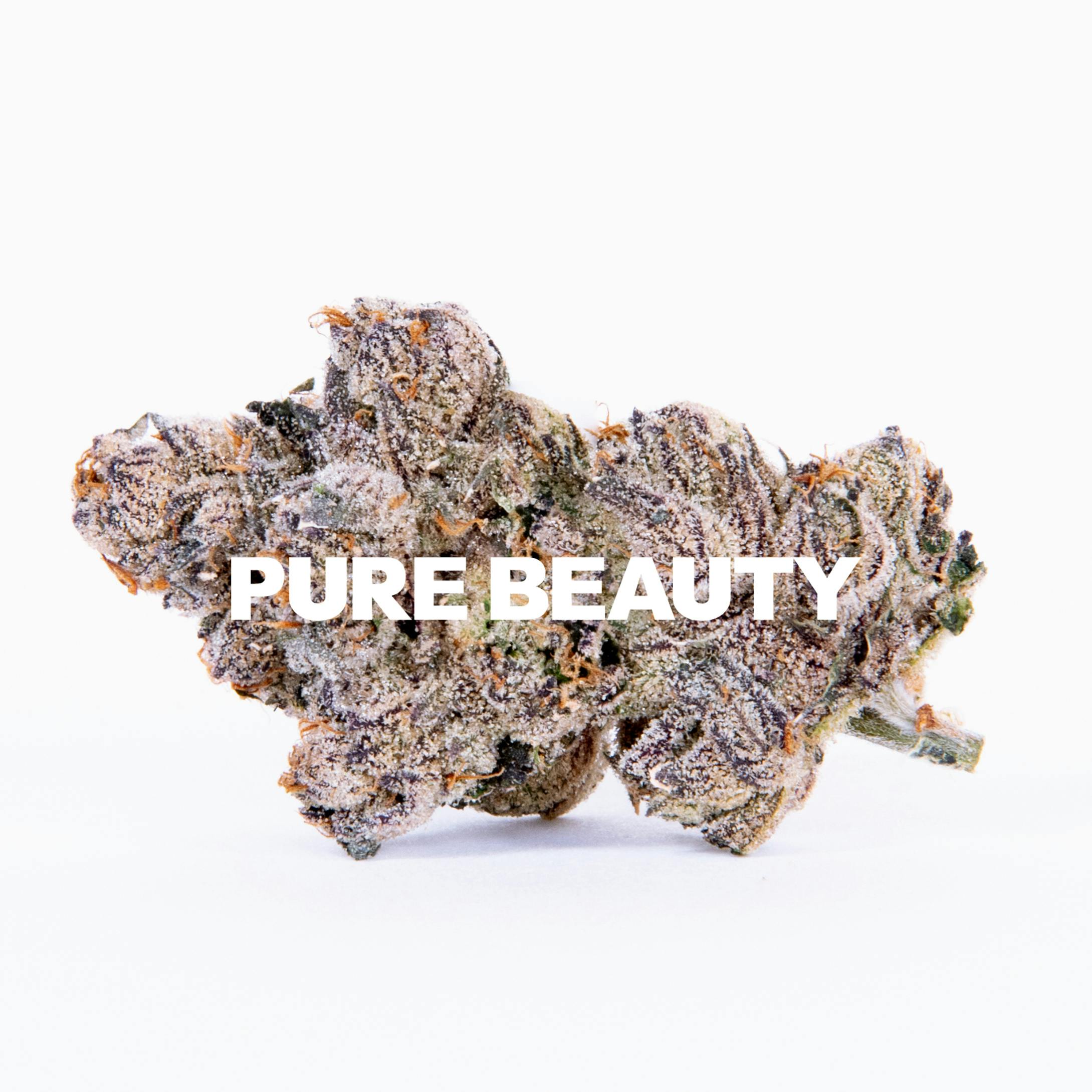 Pure Beauty — Sweet Purple Haze
