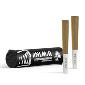 ANIMAL - 2x .5G SUPER INFUSED PRE ROLL PACK - SFV OG