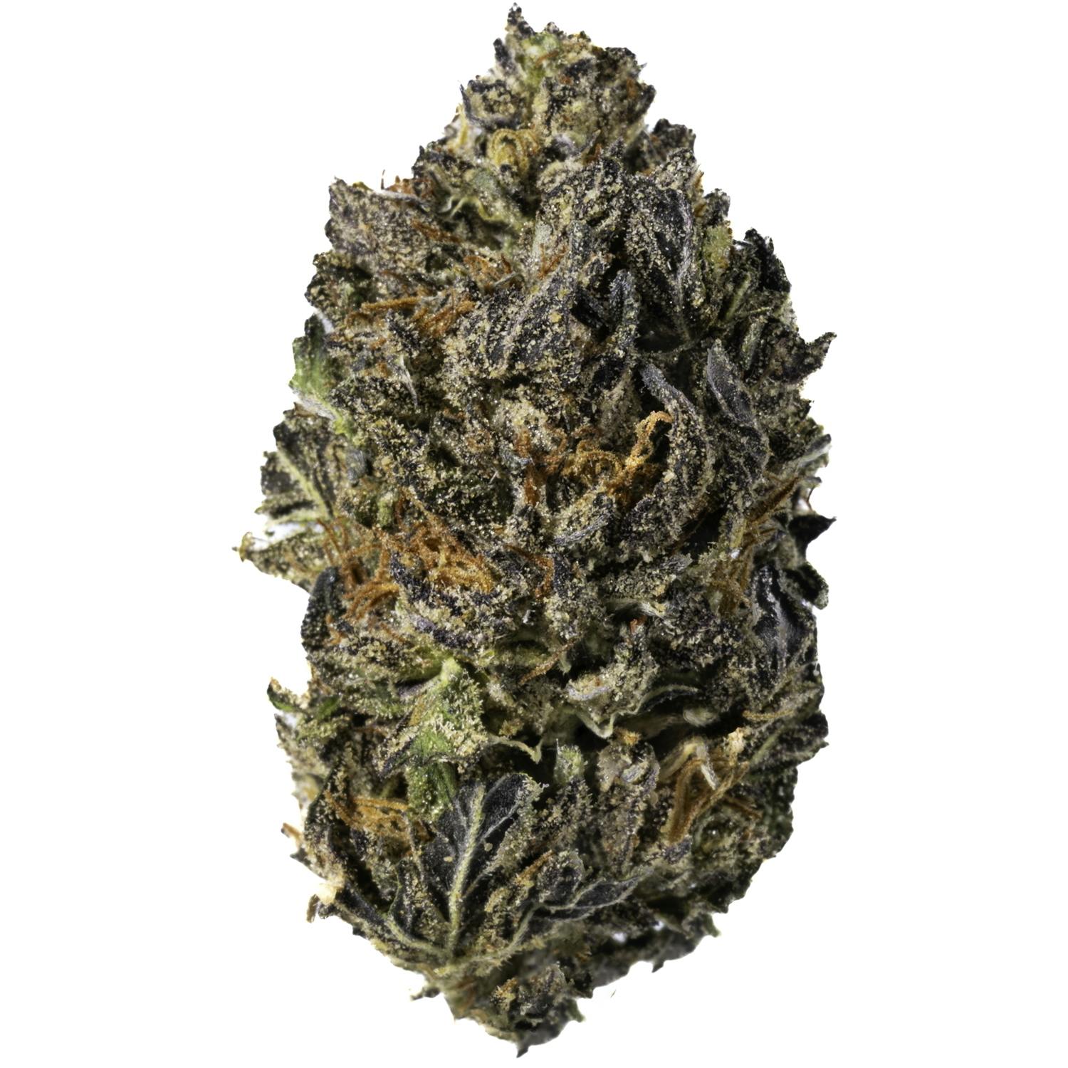 West Coast Cure — Gelato Mintz
