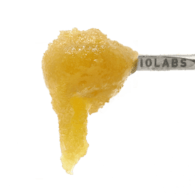 Rambutan #11 Persy Sauce