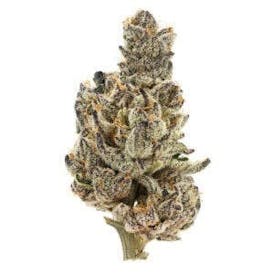 SB 36 #1 Flower 3.5g