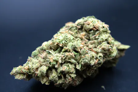 CANNA TRUST - Cannatrust | Blue Dream | 3.5g Bag