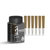 ANIMAL - 6x .5G SUPER INFUSED PRE ROLL PACK - SFV OG