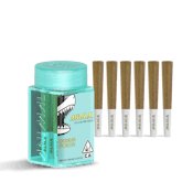 ANIMAL | DURBAN POISON | 6x .5G SUPER INFUSED PRE ROLL PACK