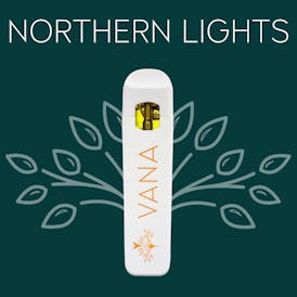 Northern Lights - 1 Gram Disposable