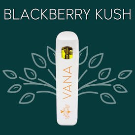 Blackberry Kush - 1 Gram Disposable