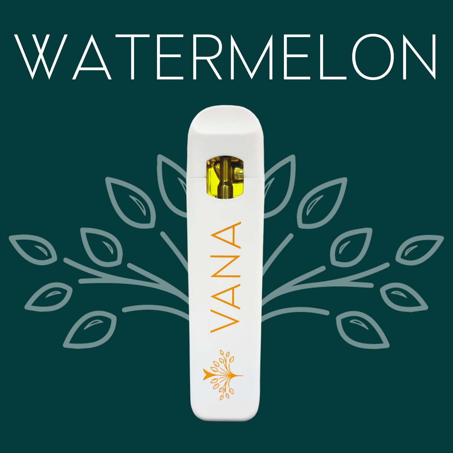Watermelon - 1 Gram Disposable by Vana
