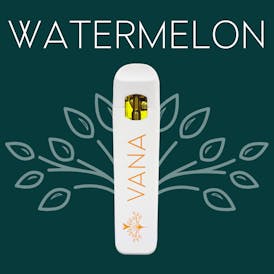 Watermelon - 1 Gram Disposable