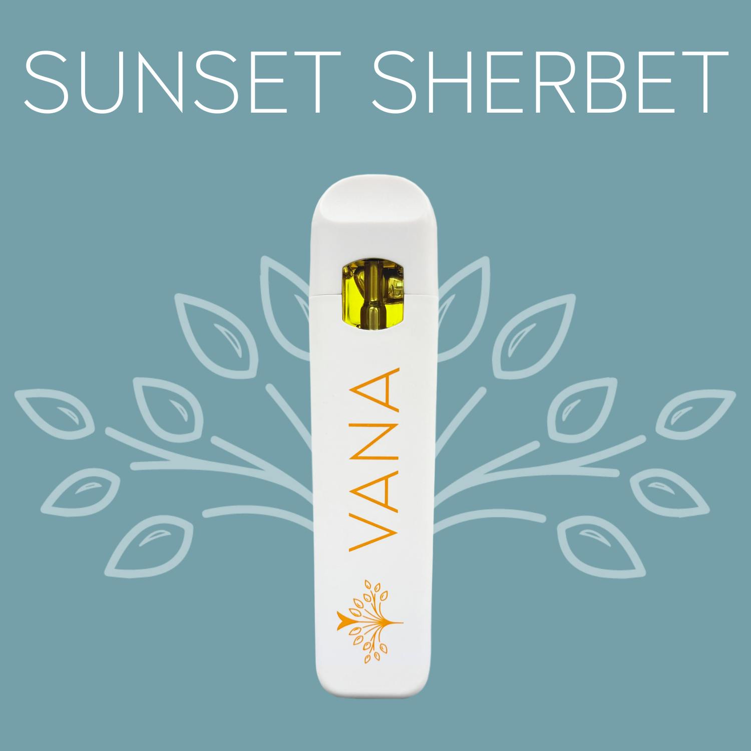 Vana Sunset Sherbet 1 Gram Disposable Weedmaps