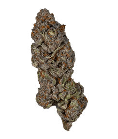 G25 Do Si Dos Flower