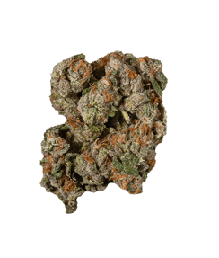 Super Silver Haze Flower by Glorious Cannabis Co.