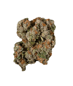 First Class Funk | Big Buds by Glorious Cannabis Company