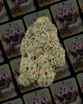 Rkive | Black Maple | 3.5g | Pre-Pack Flower