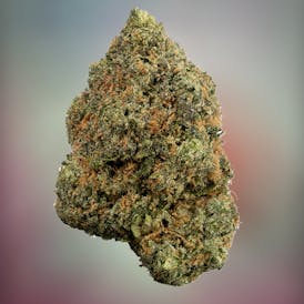 Rkive | Candy Fumez | 3.5g | Pre-Pack Flower