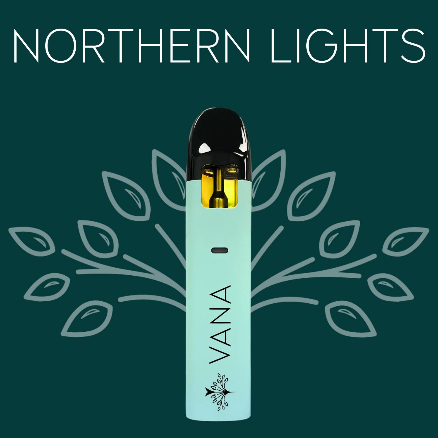 Northern Lights Gram Disposable