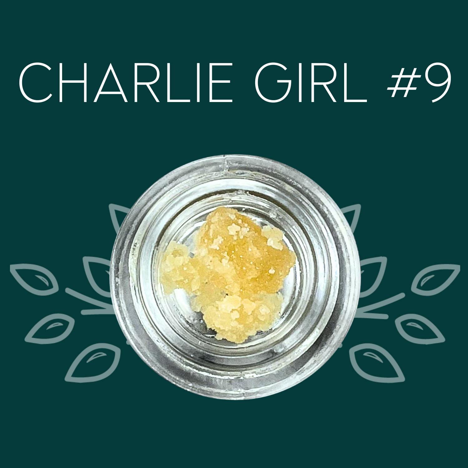 Charlie Girl #9 Gram Sugar