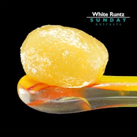 1g Concentrate White Runtz