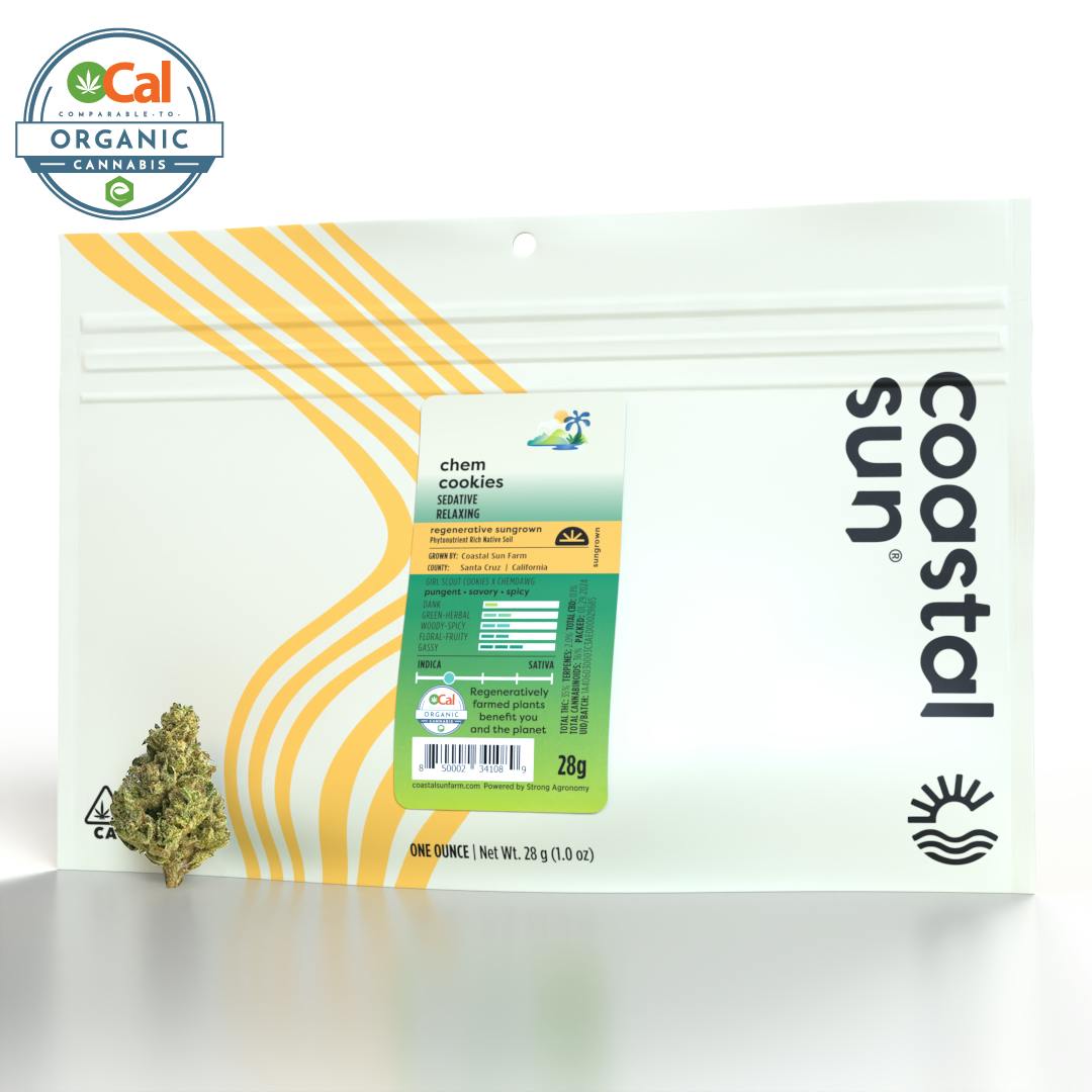 Coastal Sun: Chem Cookies