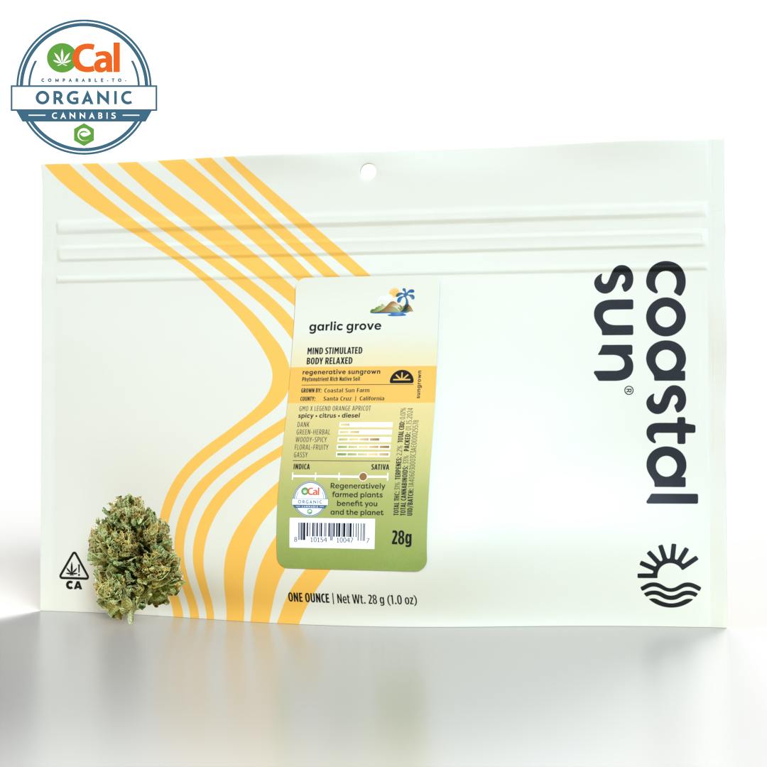 Coastal Sun — Garlic Grove