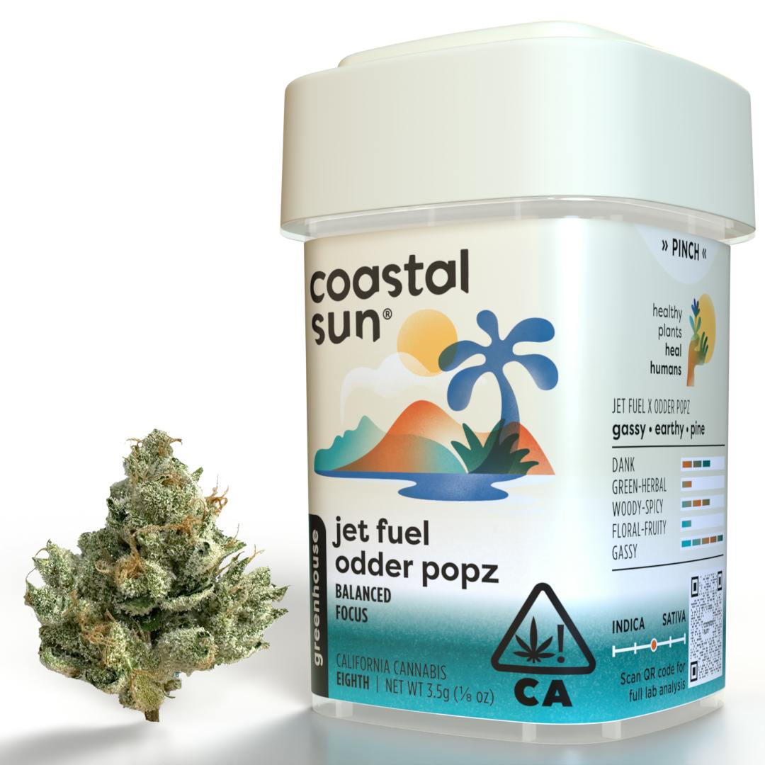 Coastal Sun | Jet Fuel Odder Popz | Greenhouse | 3.5g