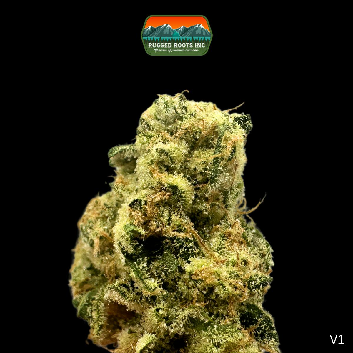 16FLIP VS SEEDA - ROOTS & BUDS inst付き WENOD RECORDS : 16FLIP VS SEEDA - Roots & Buds [2LP] DOGEAR