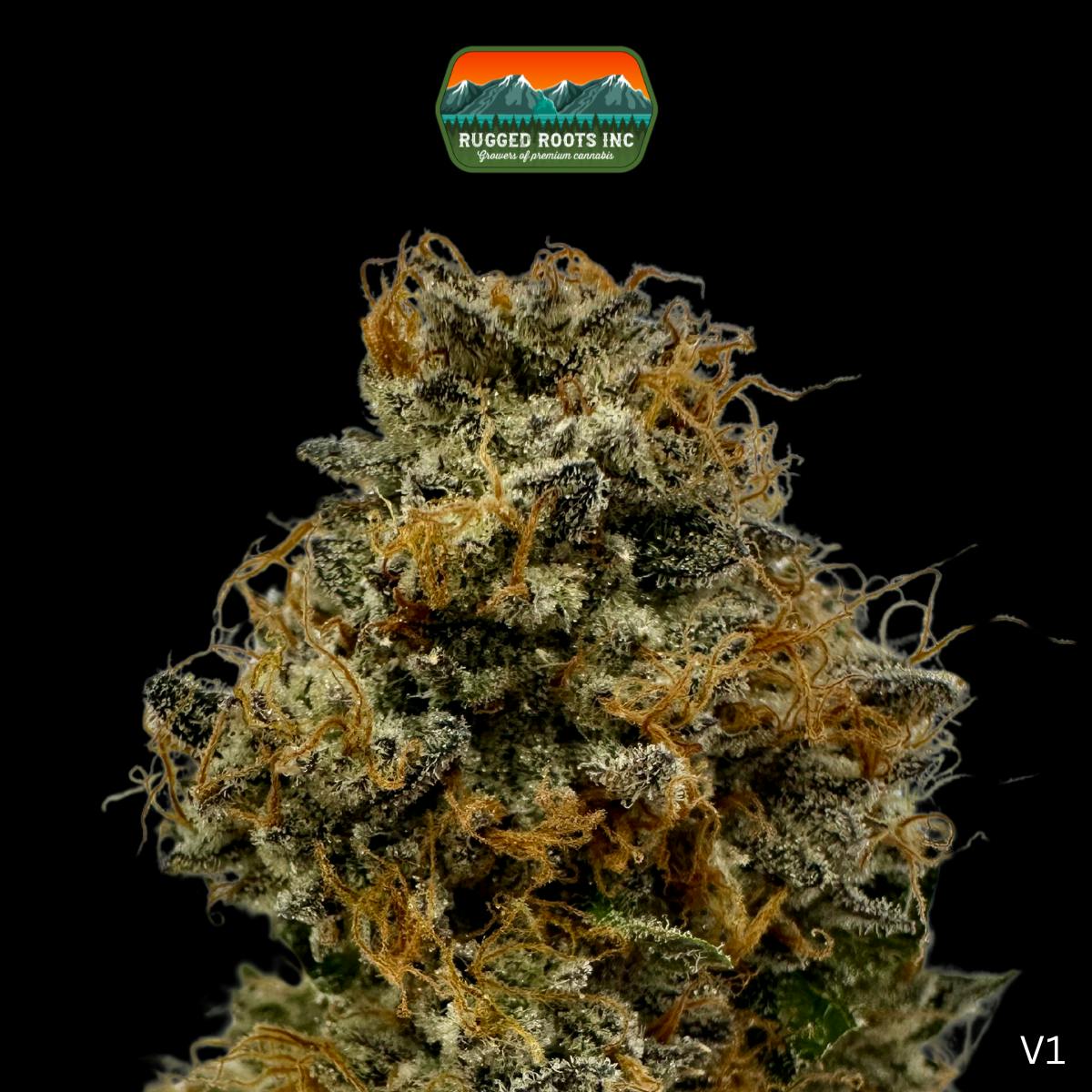 weed Z x Gelato 41 | Indoor Nugs | 14g - lolo