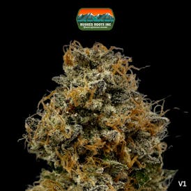 Rugged Roots | Candy Bucketz 3.5g