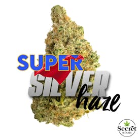 Secret Stash | Flower | Super Silver Haze | G