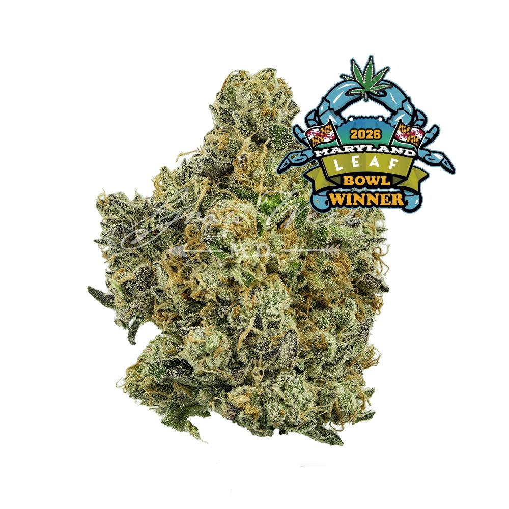 Electric Berry Bliss Hand Trimmed