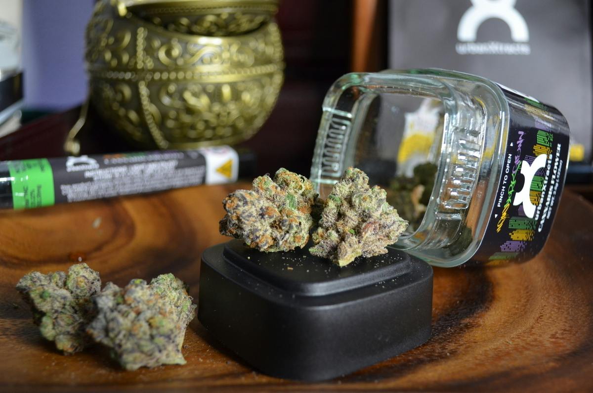 Wander Bread - 3.5 G - Cannabis Flower