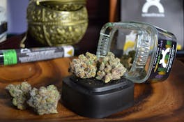 UrbanXtracts | Wander Bread | 3.5G | Flower