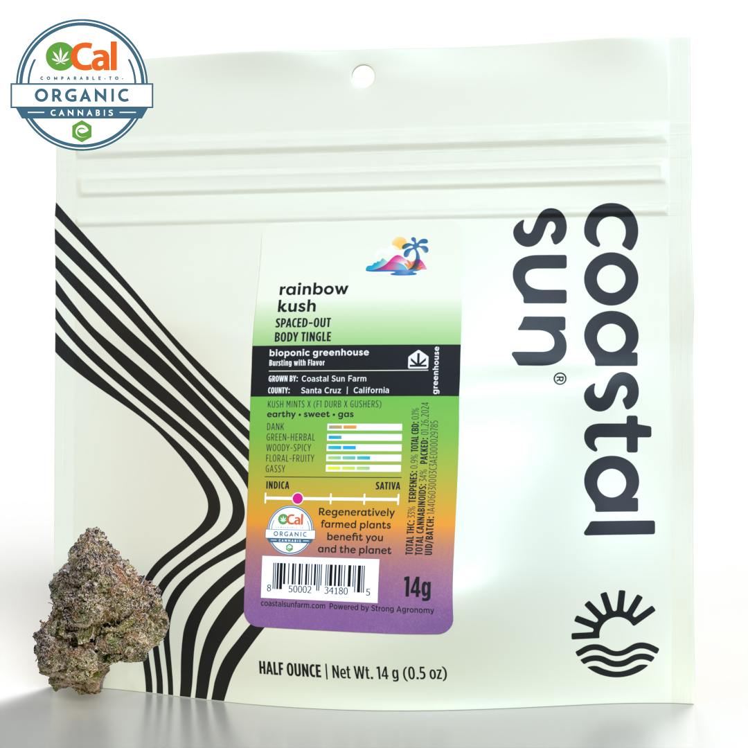 Coastal Sun — Rainbow Kush