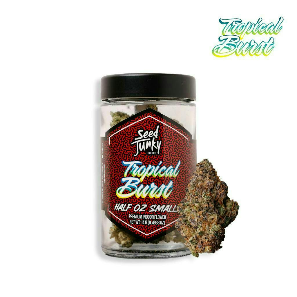 SEED JUNKY — Tropical Burst