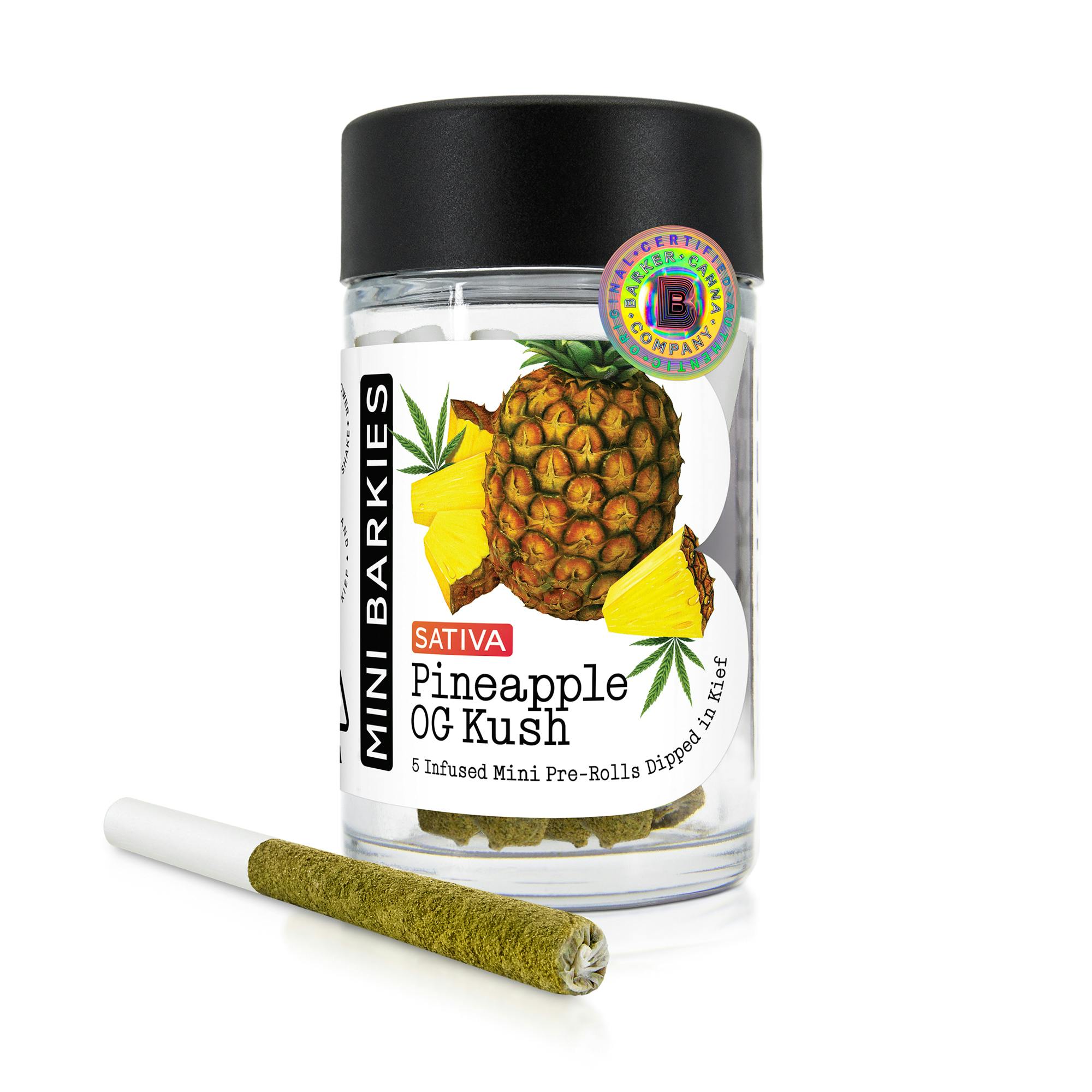 Pineapple OG Kush Mini Barkie's Barker Canna Co.